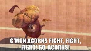 Acorns Galore!!!