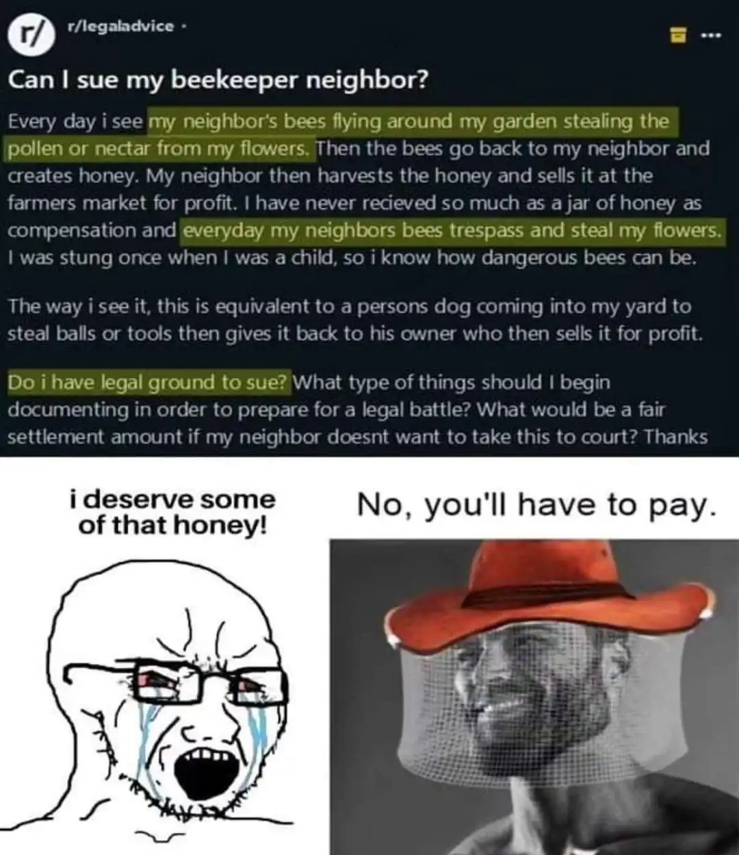 The image shows a Reddit post from r/legaladvice where a user asks if they can sue their beekeeper neighbor for bees…