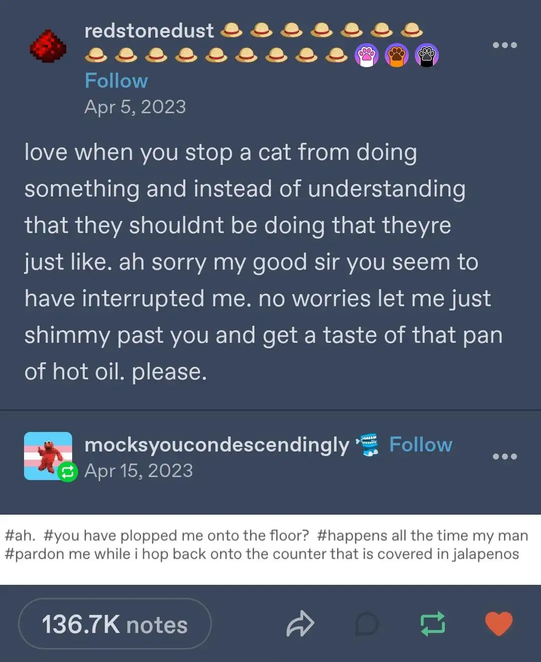 Why Cats Just Don’t Get Discouraged: A Feline Perspective