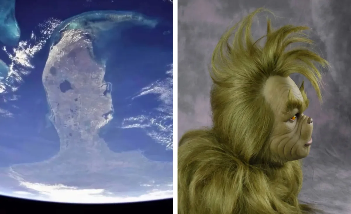 Florida Upside Down: The Grinch's Secret Identity?