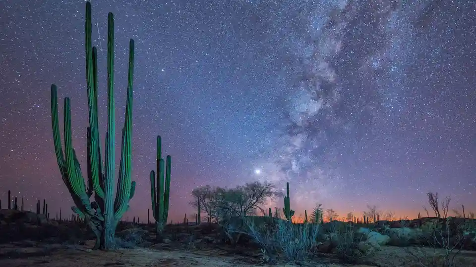 Stargazing Adventures in Baja