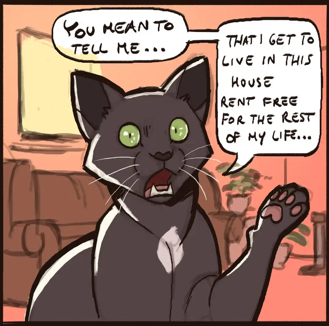 A cartoon black cat with green eyes and a white chest is shown in a living room, looking shocked and raising one paw. Two…