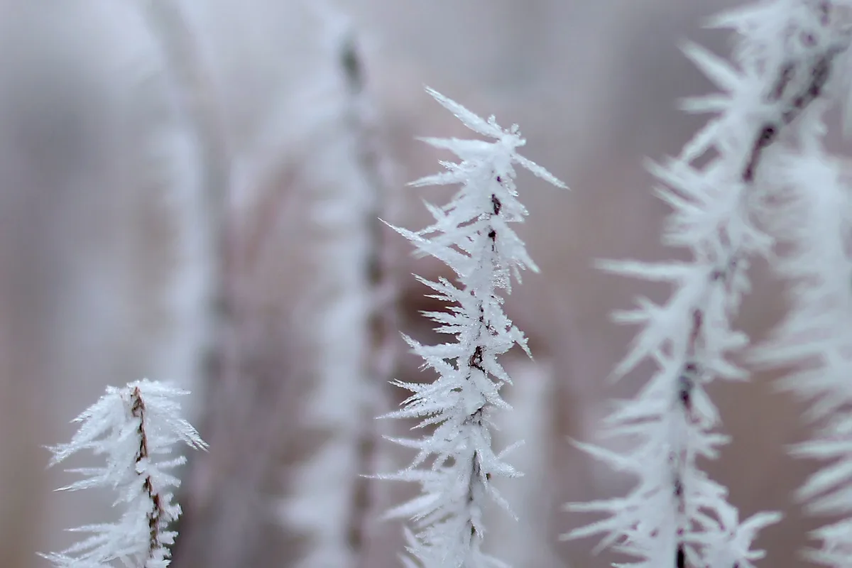 Chilly Mornings in Colorado: The Struggle is Real