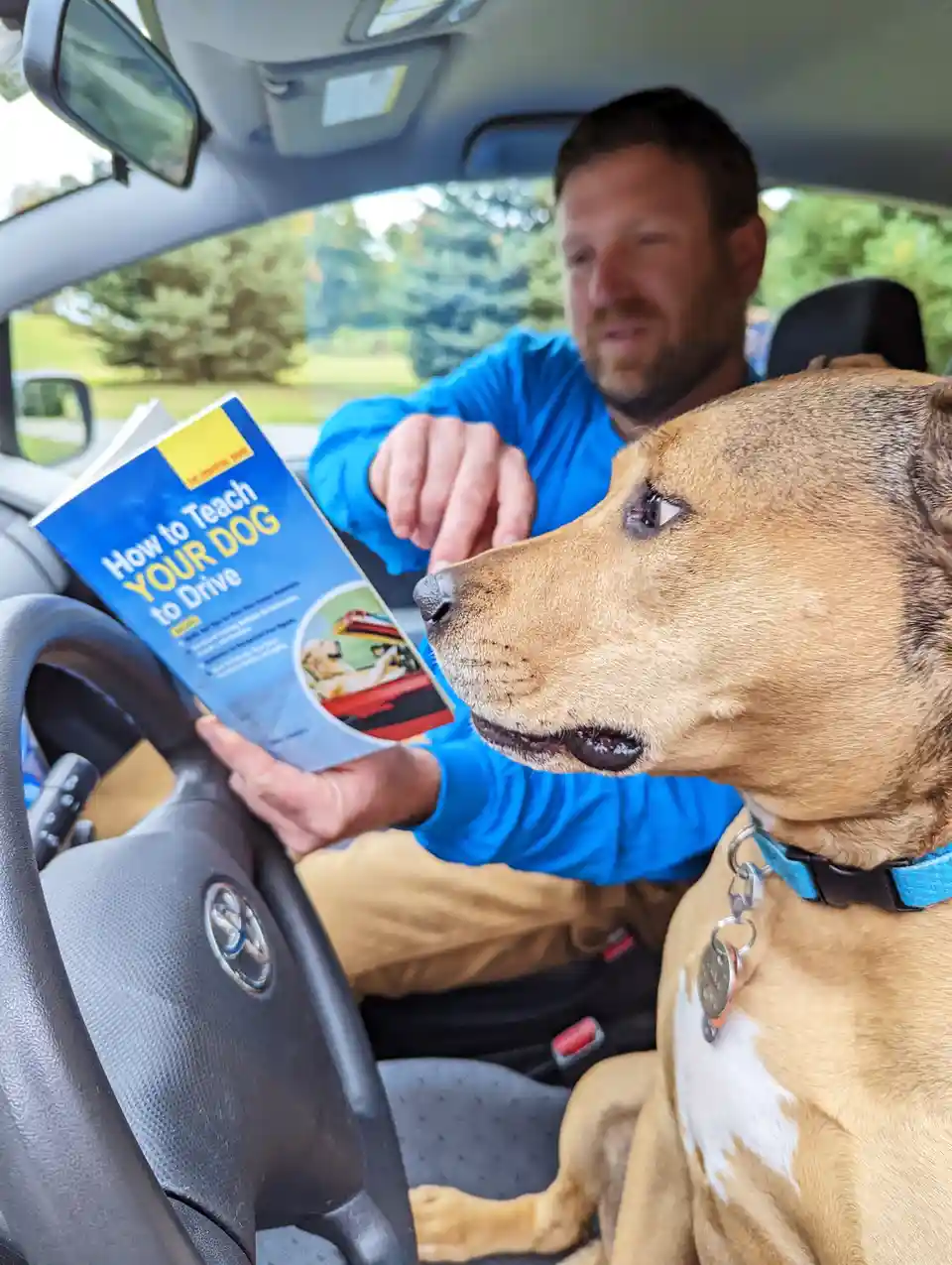Teaching Your Dog to Drive: A How-To Guide