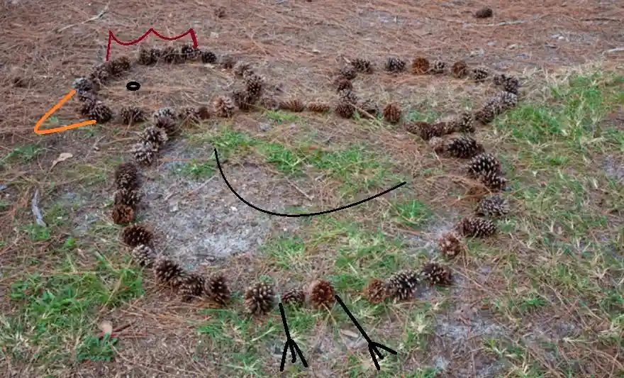 A drawing made of pinecones on grass and dirt forms the outline of a chicken, with added hand-drawn features like a comb…