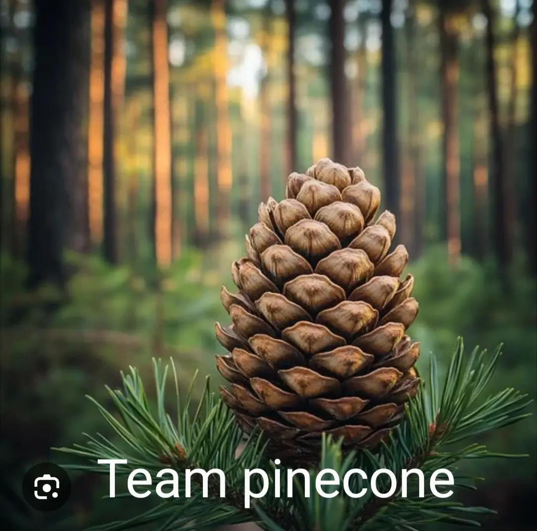 A close-up photograph of a brown pinecone resting on green pine needles, set against a blurred forest background with tall…