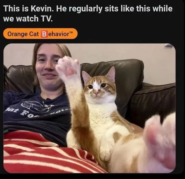 A person named Kevin sits on a couch next to an orange and white cat that has one paw raised in a waving gesture. The cat is…
