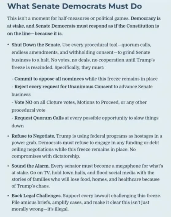 A screenshot of a document titled 'What Senate Democrats Must Do,' listing detailed procedural and political actions for…