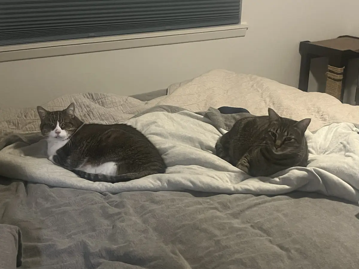 Are You Guys Going to Let Me Make the Bed or What?