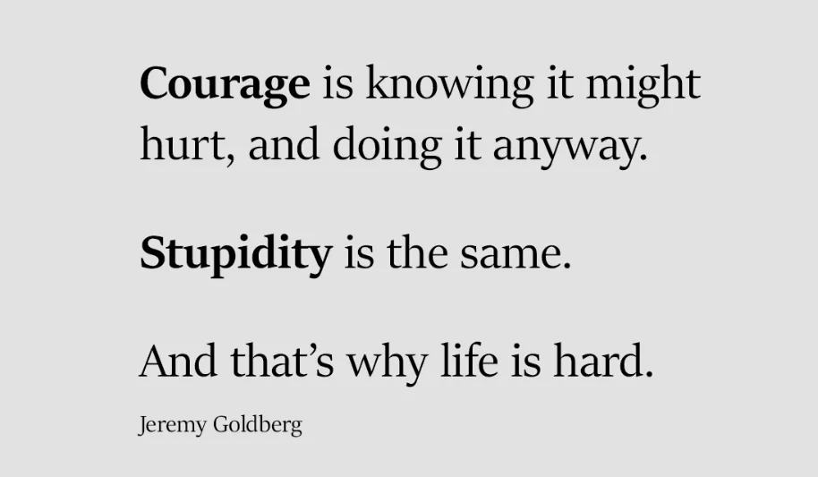 The image displays a plain light gray background with black serif text. The text reads: 'Courage is knowing it might hurt…