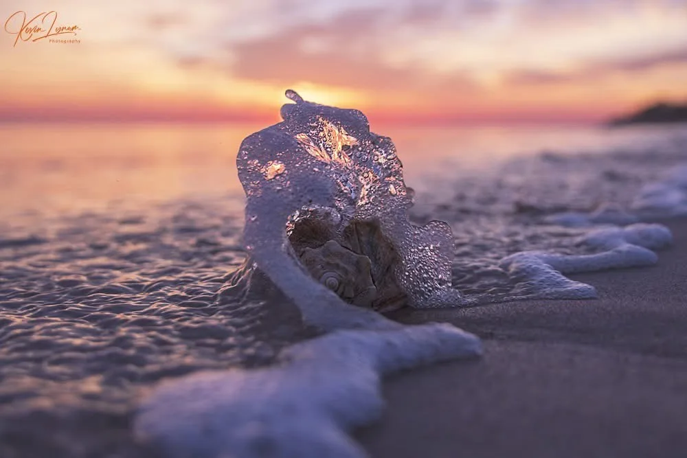 A serene beach scene at sunset with gentle waves washing over a seashell resting on the sand. The water is clear and foamy…