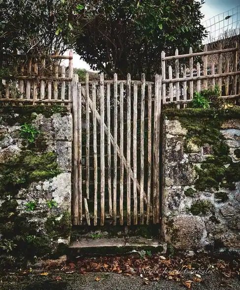The Mysterious Gate Awaits