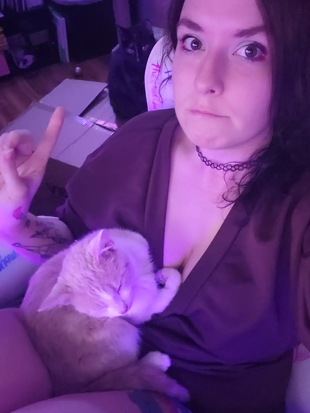 A person with wide eyes and a slightly annoyed expression holds a sleeping white cat in their arms while pointing at it…