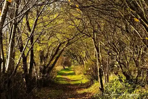 Exploring the Pathway to Adventure