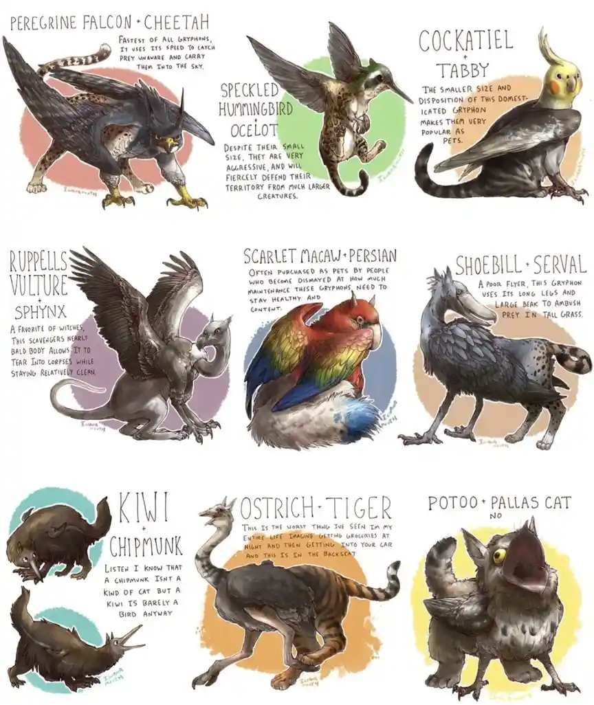 A grid of nine illustrated gryphon hybrids, each combining a bird and a cat, with descriptive text. The gryphons include…