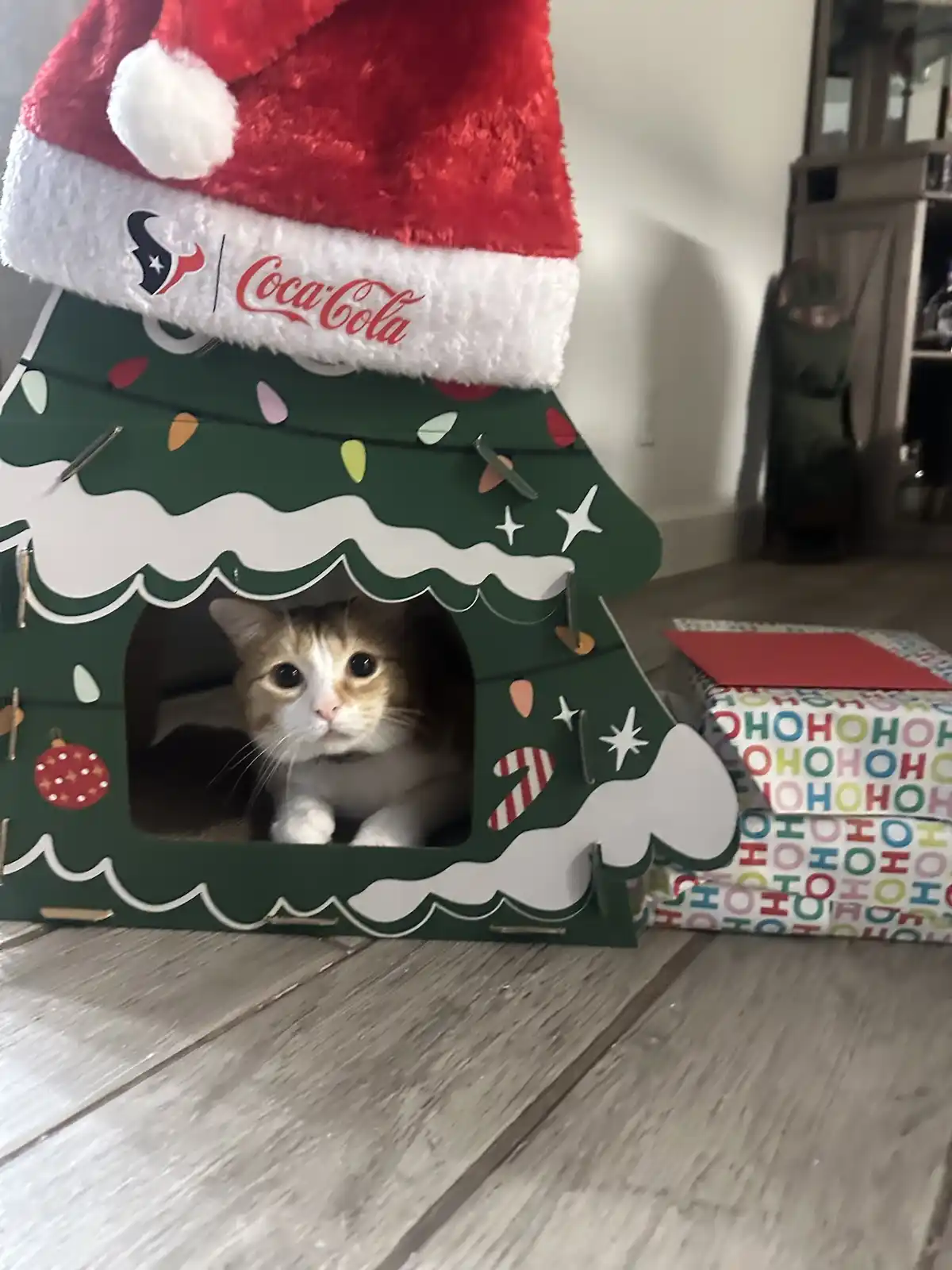 A cat with orange and white fur peeks out from a green cardboard Christmas tree-shaped house decorated with lights…