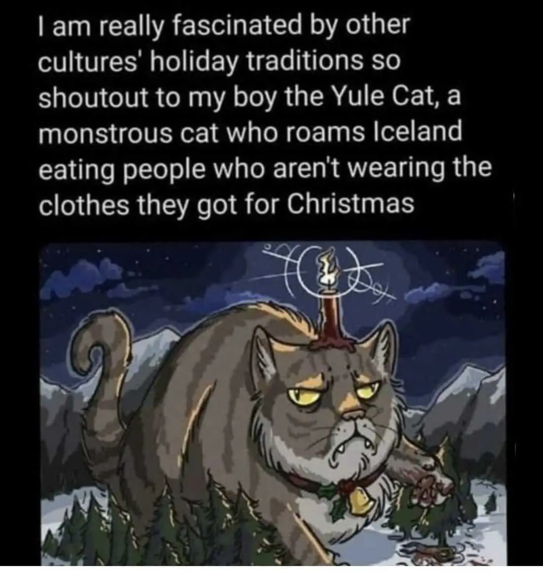 Yule Cat Joins the Acorn Team