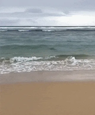 Warning: It's a Trap!