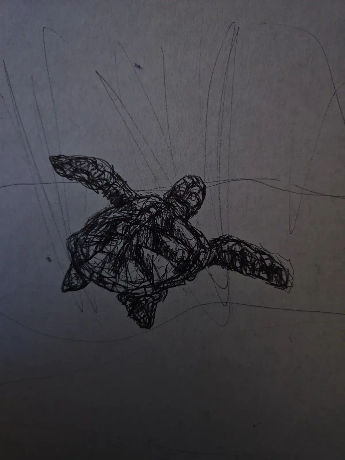 Whimsical Turtle Sketch Unveiled