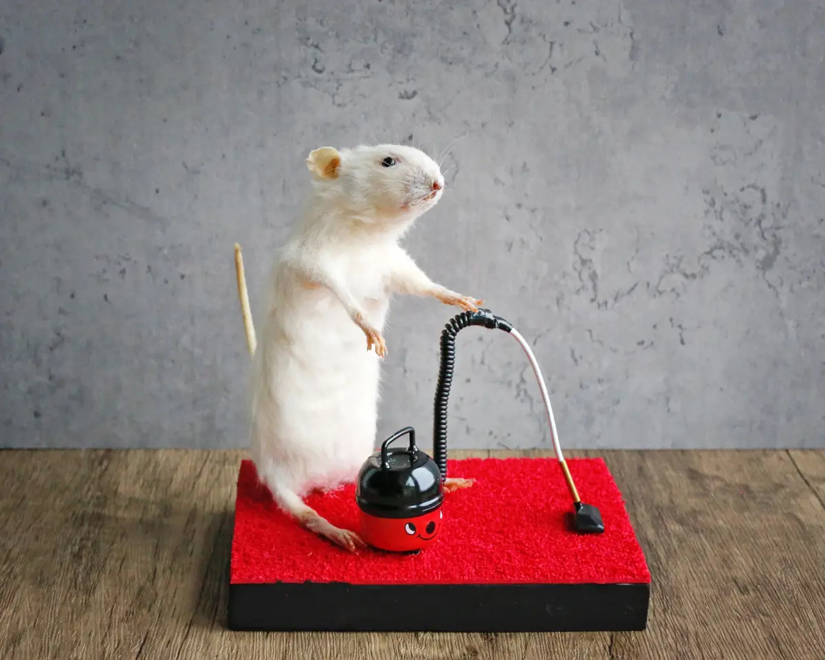 Taxidermied mice caught in hilarious situations