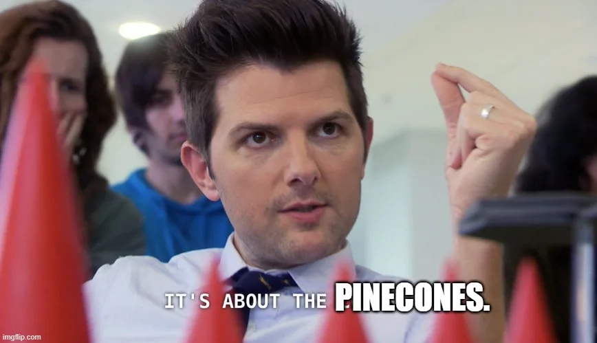 All hail Team Cones!