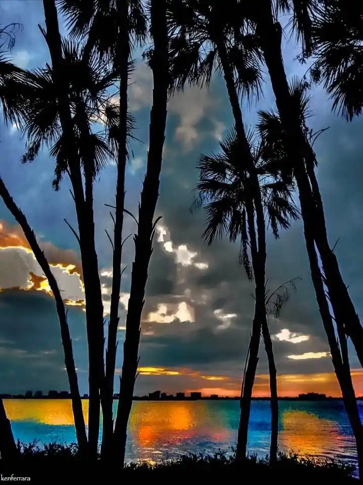 A scenic photo of palm trees silhouetted against a dramatic sunset sky with clouds reflecting in the water below. The image…