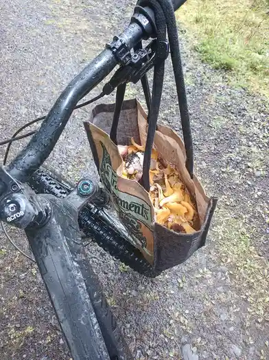 Off to the Free Shop: A Treasure Hunt