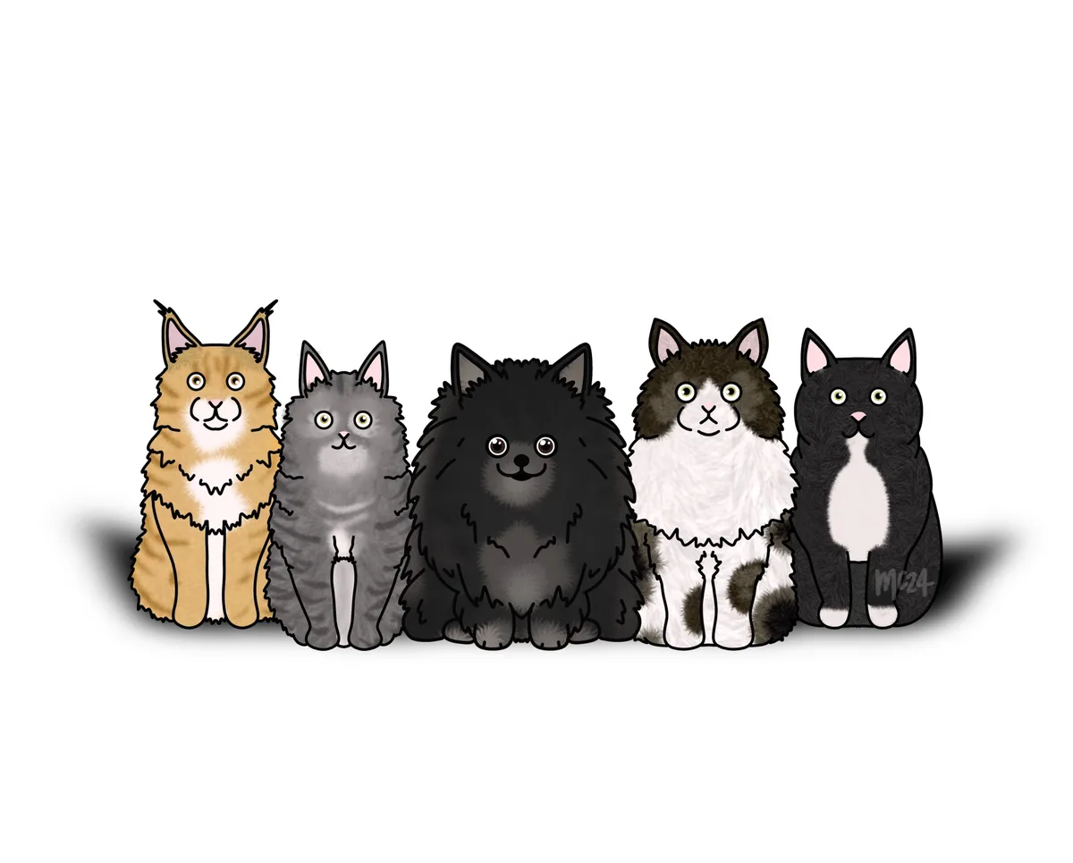Five cartoon cats of various colors and fur types sit side-by-side in a row against a plain white background, each with a…