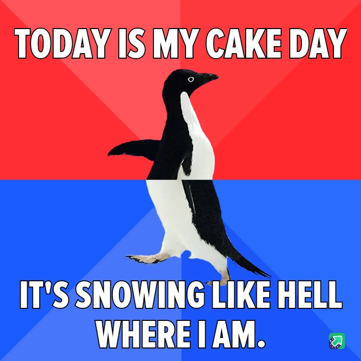 A penguin stands centered against a split red and blue background, with bold white text at the top reading 'TODAY IS MY CAKE…