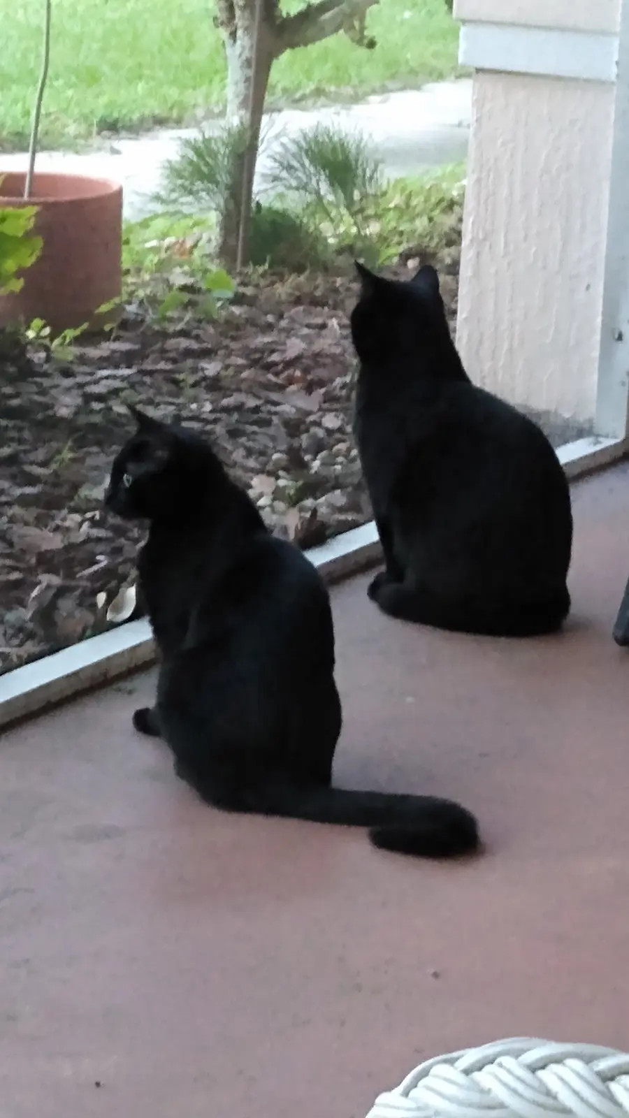 The Classic Copy-Paste Move: CTRL-C, CTRL-V
