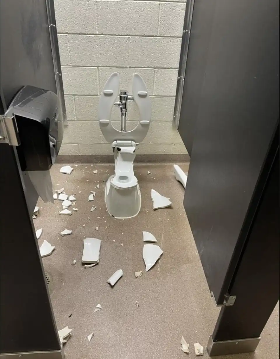 When the Taco Bell Hits: The Aftermath