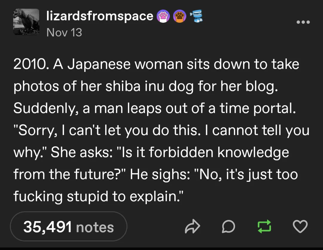 A screenshot of a Tumblr post from 'lizardsfromspace' dated November 13, featuring white text on a dark background. The text…