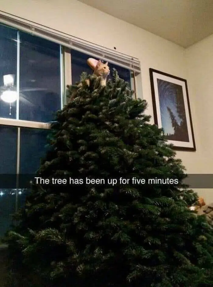 Just Five Minutes Can Change Everything