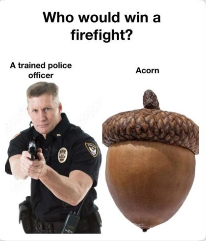 The image displays a police officer holding a handgun pointed forward, positioned next to a large acorn. Above them, the…