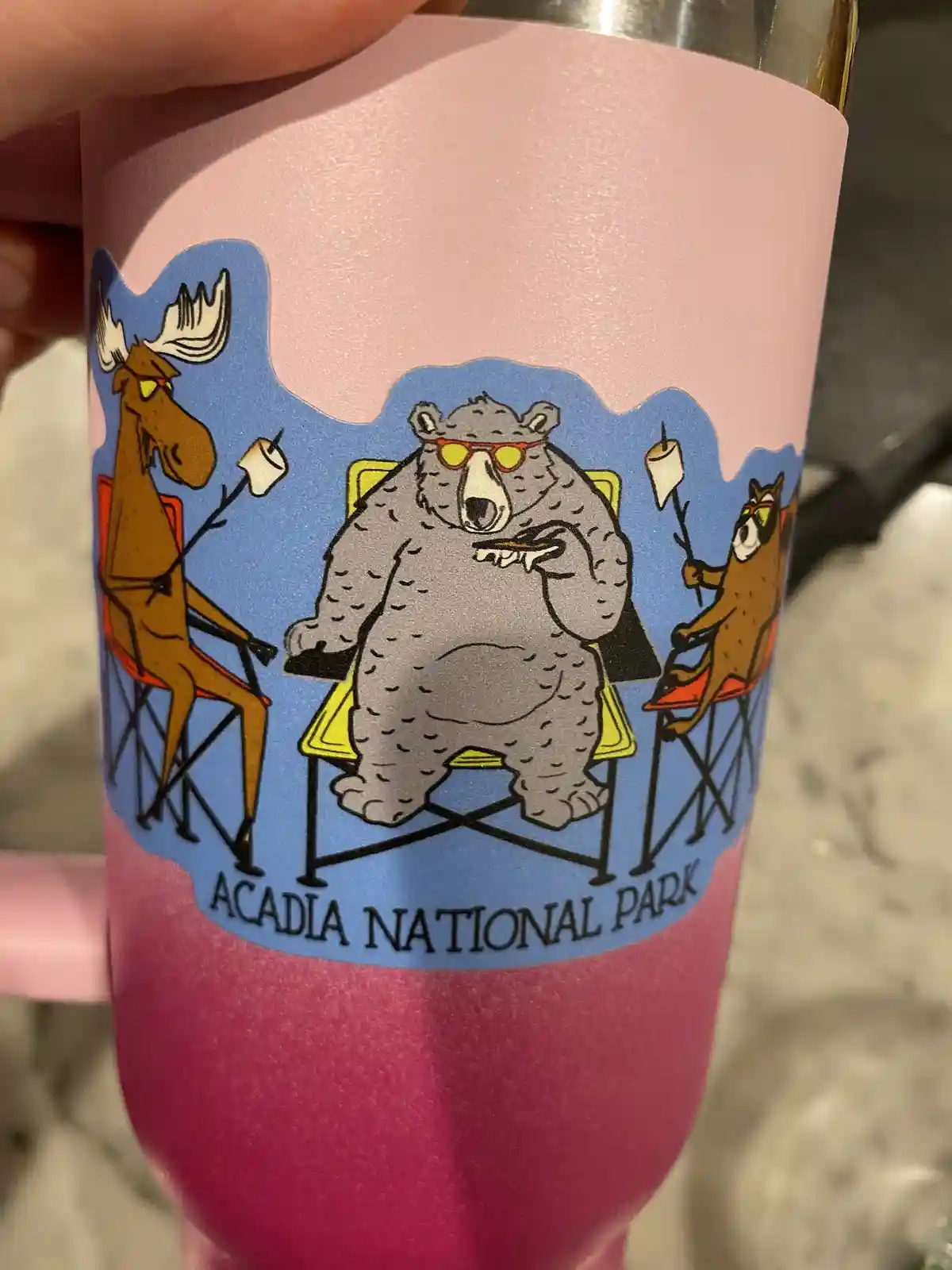 The Simple Joy of a Water Cup