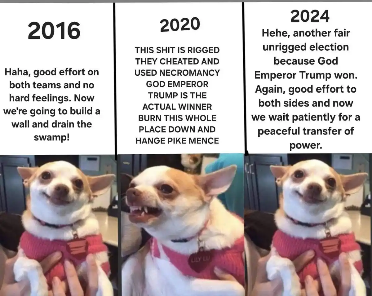 A three-panel meme featuring a chihuahua in a pink sweater, showing escalating political attitudes from 2016 to 2024. Each…