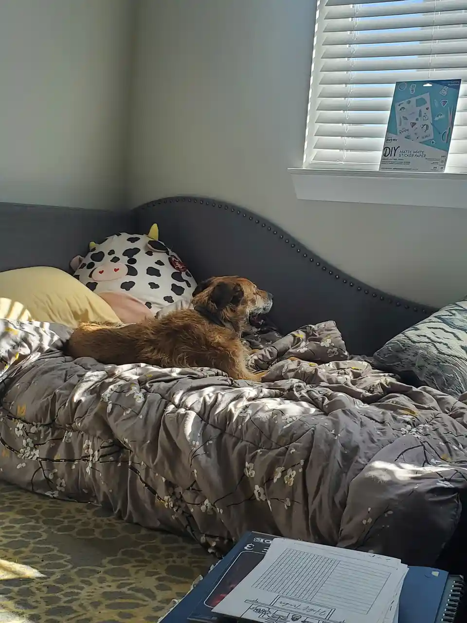 Celebrating Mutt Day with Joy and Love!