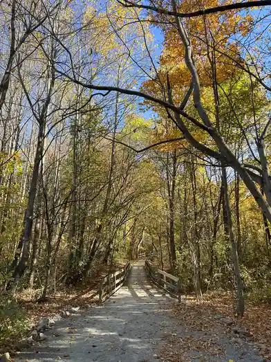 A scenic autumn forest path with a wooden bridge, surrounded by trees with yellow and green leaves under a clear blue sky…