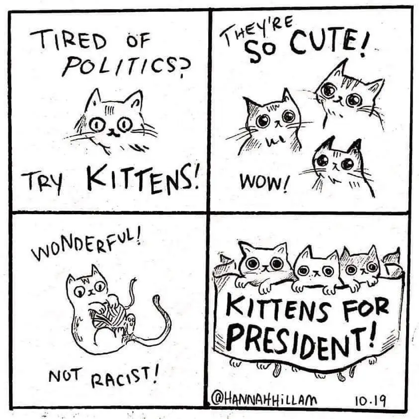 A four-panel comic strip with hand-drawn cartoon kittens. The first panel asks 'TIRED OF POLITICS? TRY KITTENS!'. The second…