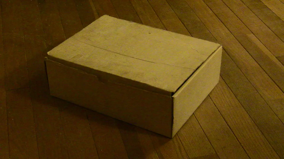A plain brown cardboard box sits on a wooden floor, unopened and unmarked. The overlaid text reads 'i just got my package'.