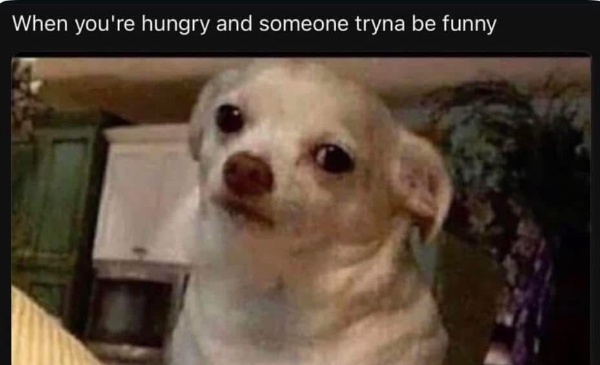 Nothing's Amusing Until I've Had My Meal