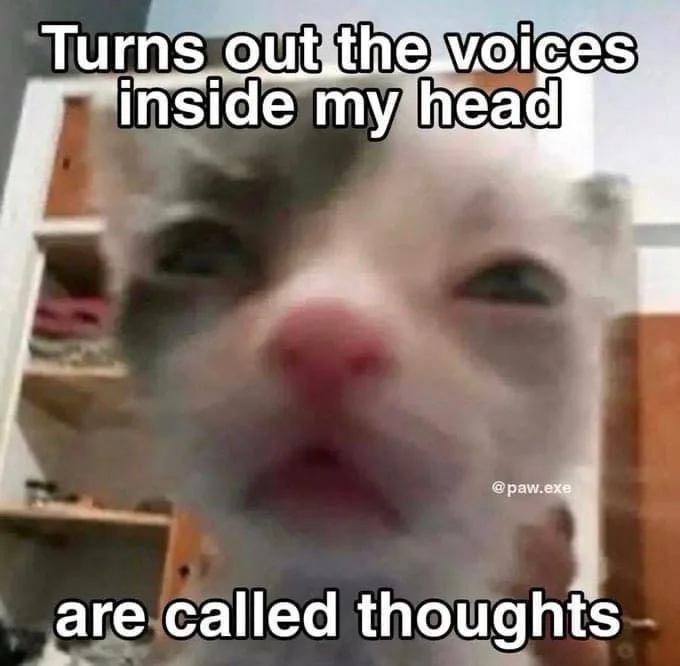 A blurry, close-up photo of a cat's face with a confused or bewildered expression. The text overlaid on the image reads…