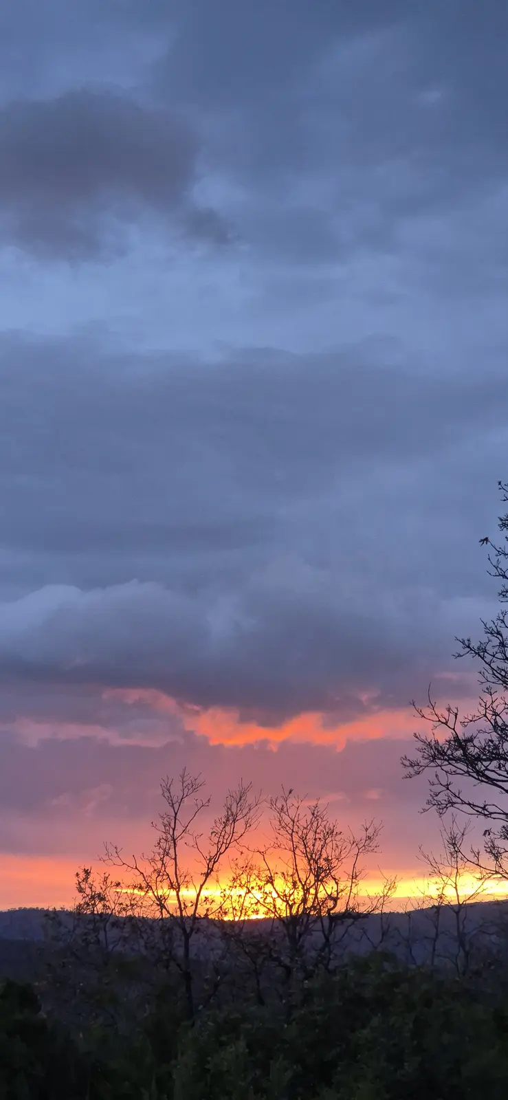 Breathtaking Sunset Over the Farm