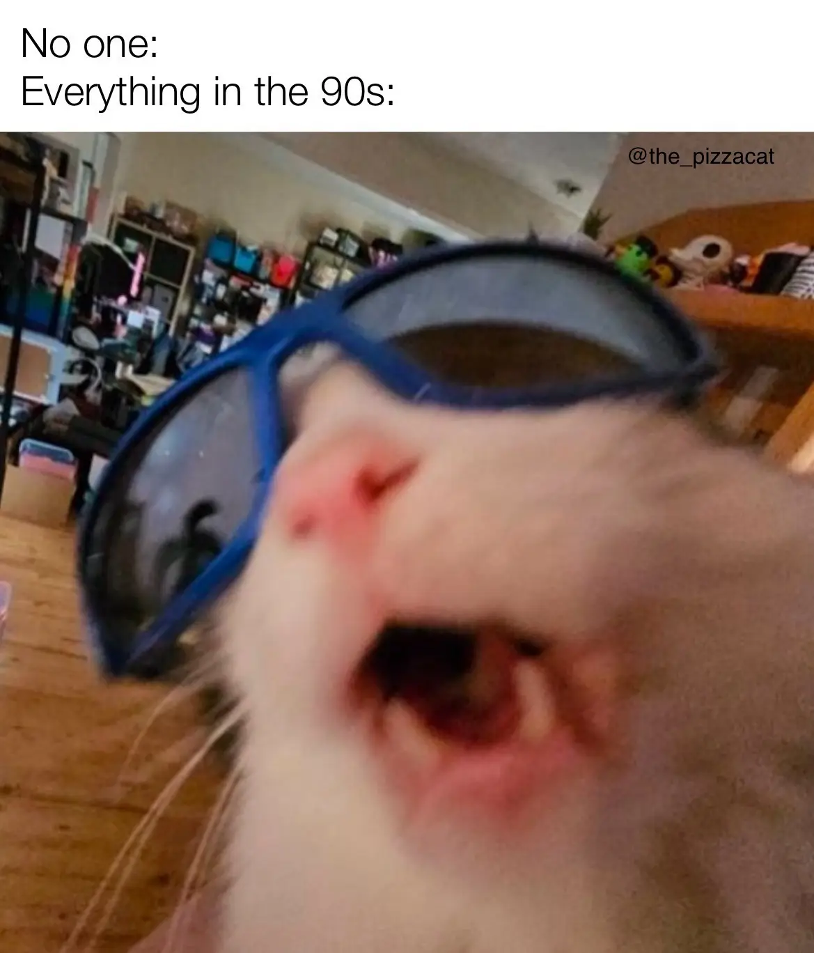 A close-up, slightly blurry photo shows a white cat wearing oversized blue sunglasses, its mouth wide open in a yawn or…