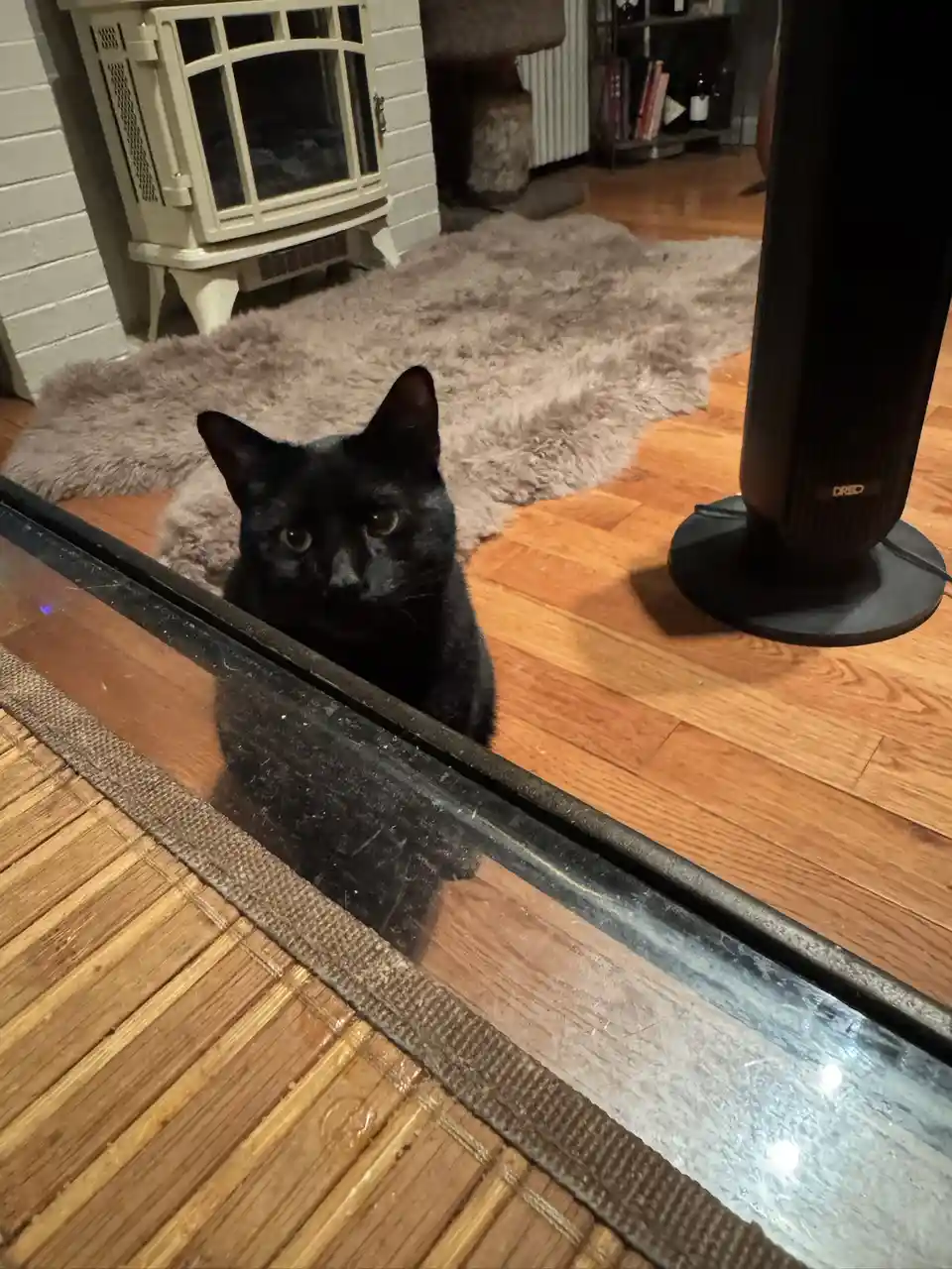 A black cat sits on a wooden floor behind a glass table, looking directly at the camera with wide eyes. In the background…