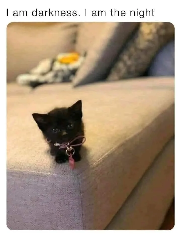 Tiny Void of Cuteness