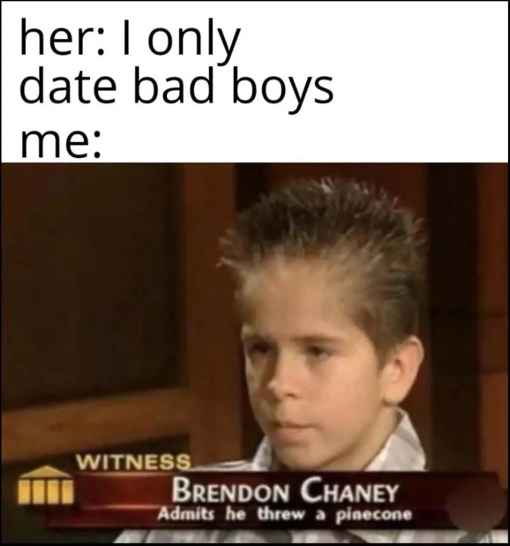 A young boy with spiky hair, identified as witness Brendon Chaney who 'admits he threw a pinecone', stares blankly with a…