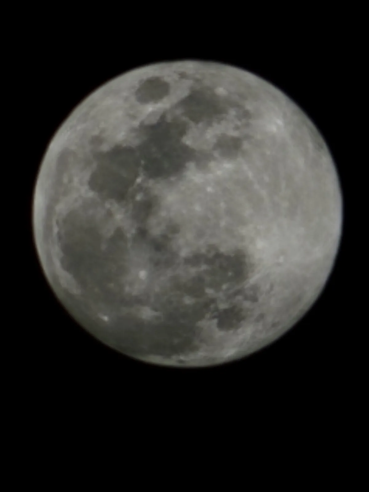 Captured with My S23 Ultra: Stunning Shots!