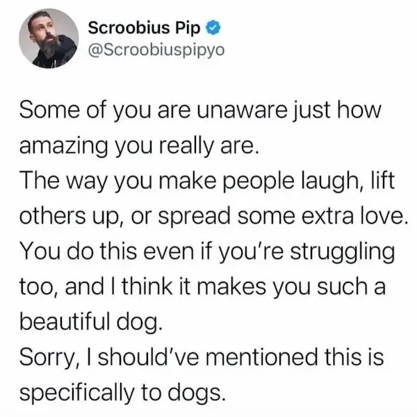 A screenshot of a tweet from Twitter user Scroobius Pip, whose profile picture shows a man with a beard. The tweet text is…