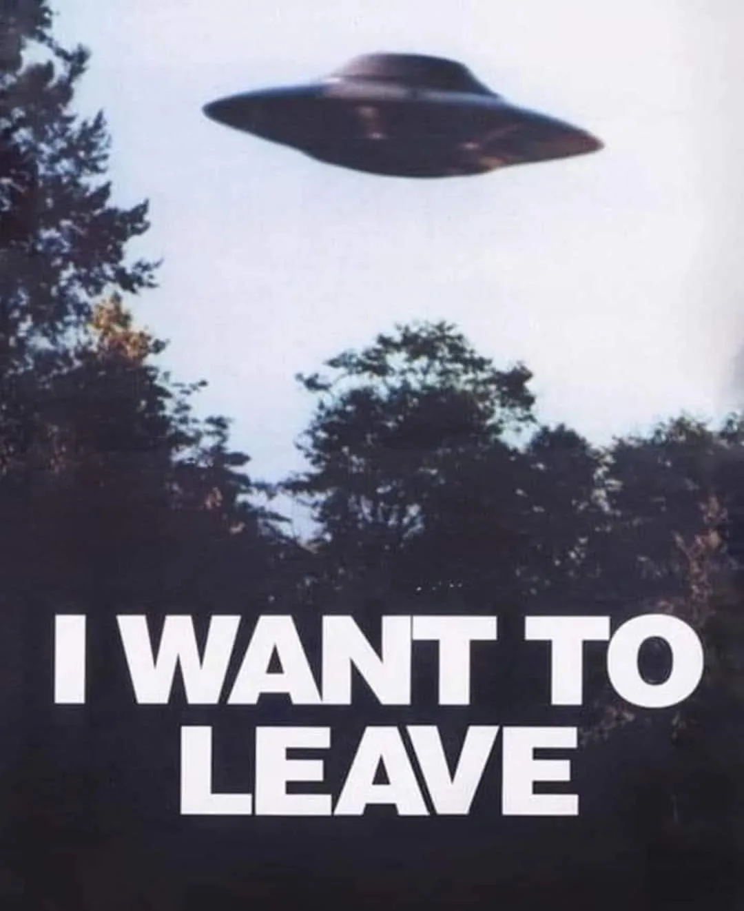 A blurry image shows a classic flying saucer hovering over a forested area with trees in the foreground. Large white text…